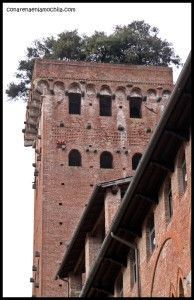 Torre Guinigi Lucca Italia