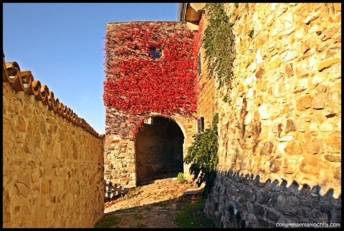 La Toscana 2 - Arte Renacentista En Siena Y Florencia